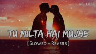 Tu Milta Hai Mujhe  Slowed amp Reverb  Raj Barman  Subhajyoti yt [upl. by Adiuqal]