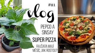 VLOG 81  Pepco amp Sinsay Pizza rajčata a papriky 🍅 [upl. by Meirrak262]