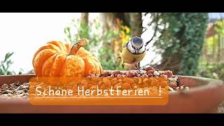 Schöne Herbstferien [upl. by Elwyn]