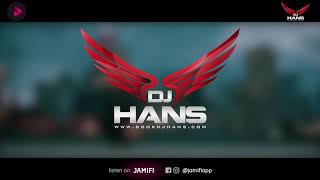 Illegal weapon Remix  DJ HANS  Jamifi Esclusive  New Punjabi music [upl. by Akerue455]