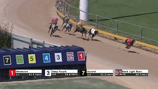 Gawler09102024Race8 [upl. by Jacintha]