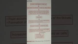 Pathophysiology of mastoiditis   AHN notes [upl. by Vogele]