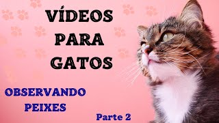 Jogo para GATOS  Observando PEIXES 2 [upl. by Daegal]