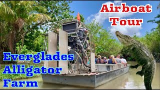 Airboat Tour  Everglades Alligator Farm in Homestead Florida USA [upl. by Iruam]