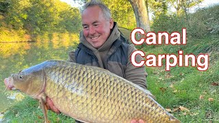 Canal carping the search continues 💪🏻🎣 [upl. by Darryl]