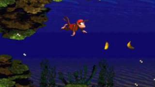 Donkey Kong Country  Underwater Music 1 [upl. by Hoo]