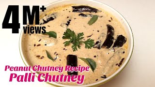 Palli Chutney  Peanut Chutney Recipe  How to make Chutney  Hyderabadi Ruchulu [upl. by Anirtep989]