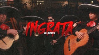 INGRATA  AKOS 🐎 Official Video [upl. by Harmon]