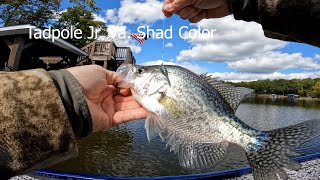 October Cold Front Crappie Fishing With The Tadpole Jr [upl. by Yralih618]