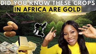 These 10 Agriculture Business Ideas In Africa Will Make You A Millionaire Fast [upl. by Weylin464]