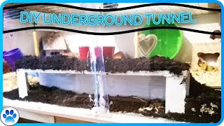 DIY Hamster Toys  Underground Burrow Tunnel DIY Hamster Toy [upl. by Naras725]