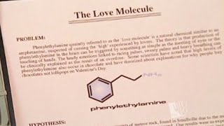 Finding Euphoria with PEA  Phenylethylamine Experience Report [upl. by Benildas]