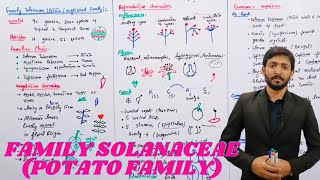 Family Solanaceae Nightshade  Potato Family  Biology 11th  Chapter 9 HindiUrdu [upl. by Raina38]