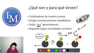 Bioquímica  Enzimas  Catalizadores Enzimáticos [upl. by Frolick]