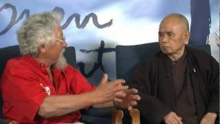 David Suzuki amp Thich Nhat Hanh Despair [upl. by Icyaj]