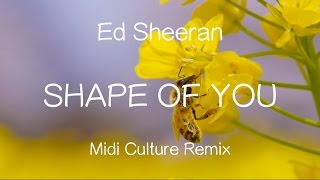 【洋楽和訳】Ed Sheeran  Shape Of You （Midi Culture Remix）Lyrics [upl. by Somerset]