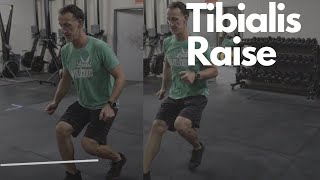 Tibialis Raise  How to do it and why it is important [upl. by Pancho]