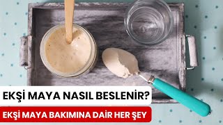 Ekşi Maya Nasıl Saklanır Nasıl Beslenir Nasıl Kullanılır [upl. by Arundell262]