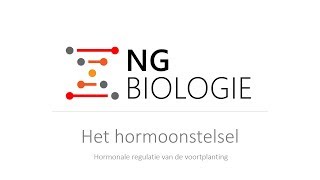 Het hormoonstelsel  hormonale regulatie van de voortplanting  HAVOVWO [upl. by Anselme]