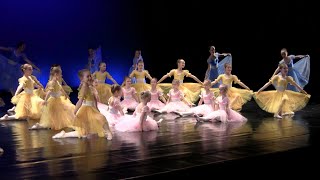 Polonaise Swan Lake  2028  age 5  15  Terpsichore 2017 [upl. by Annas]