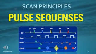 MRI Board Review  MRI Physics MRI Scanning Pulse Sequences [upl. by Einaeg]