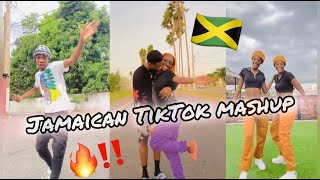 NEW JAMAICAN TIKTOK DANCE MASHUP 2024 [upl. by Ytsirc]