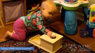 Developing Object Permanence Skills in the Montessori InfantToddler Environment  NAMC [upl. by Tristam152]