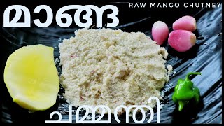 38 Raw Mango chutney  പച്ച മാങ്ങ ചമ്മന്തി  Kerala style pacha manga chammanthi [upl. by Yennej703]