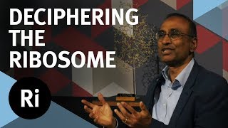 The Story of Deciphering the Ribosome  with Venki Ramakrishnan [upl. by Esyli248]