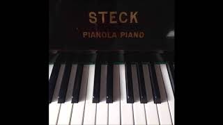 The Stein Song  Steck Pianola Piano [upl. by Yenal191]