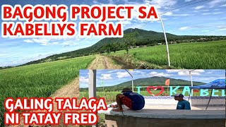 UPDATE SA KABELLYS FARM ANG GANDA NG KINA LABASAN NG SWIMMING POOL  GALING TALAGA NI TATAY FRED [upl. by Nahtanha882]