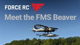 Force RC  FMS Beaver 2000mm PNP [upl. by Treva]