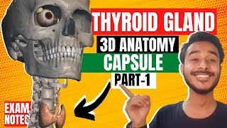 Thyroid Gland Anatomy 3D  Anatomy of thyroid gland in hindi  capsule of thyroid gland anatomy [upl. by Eeralav]