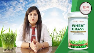 Altos Wheatgrass Powder Rich Nutritional Food Supplement [upl. by Riker]