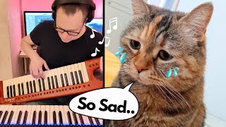 Cats Heartbreaking Song The Saddest Meow Ever Singing Cat [upl. by Adiasteb]