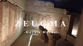 Zeugma Mosaico del Museo  Zeugma Mozaik Müzesi [upl. by Bussy215]