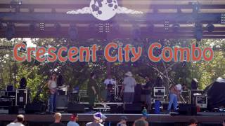 The Crescent City Combo live at Hillberry Festival 10162016 [upl. by Tolliver]