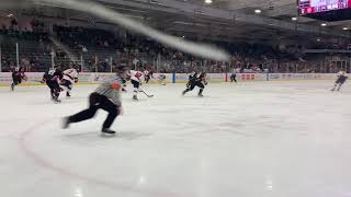 Birmingham Bulls goal vs Peoria Rivermen 31619 [upl. by Susanne752]