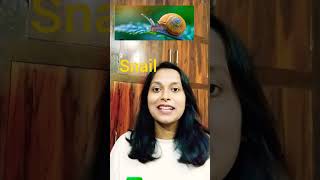 Insects name pronunciation snail lizard earthworm centipede shorts [upl. by Anikram]