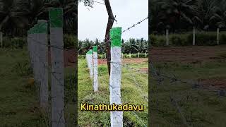 FARMLAND FOR SALE IN KINATHUKADAVU  LOW PRICE  9842091114 [upl. by Diskin]