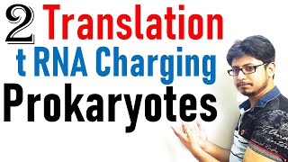 Translation in prokaryotes lecture 2  tRNA charging in protein synthesis [upl. by Olecram]