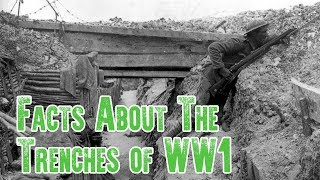 Trench Warfare Facts  The Trenches of WW1 [upl. by Roxi]