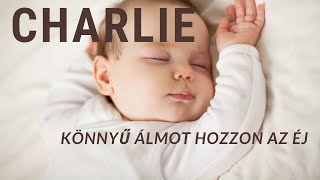 CHARLIE  Könnyű ámot hozzon az éj  Official Music Video [upl. by Yrrap555]