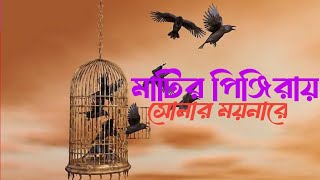 মাটির পিঞ্জিরা সোনার ময়নারে  Matir Pinjira Sonar Moyna Re  Cover by Tapon kumar 2024 [upl. by Anomahs]