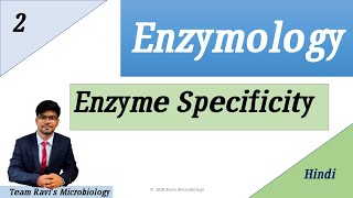 Enzyme Specificity Hindi  Enzymology [upl. by Dorkus132]