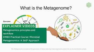 Metagenomics principles and workflow [upl. by Ytinirt]