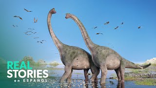 Descubriendo El Antiguo Mundo De Los Dinosaurios Herbívoros [upl. by Idnil298]