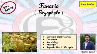 Funaria  Morphology  anatomy amp Life cycle  Bsc  Free PDF notes  by Viologia EXtrema [upl. by Ettenhoj]