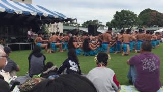 Hawaiian Ensemble at Hoʻolauleʻa 2017 [upl. by Tedi551]