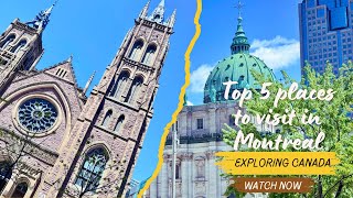 Must visit places in MontrealQuebec  Travel Vlog  Explore Canada  RTM Station [upl. by Baras]